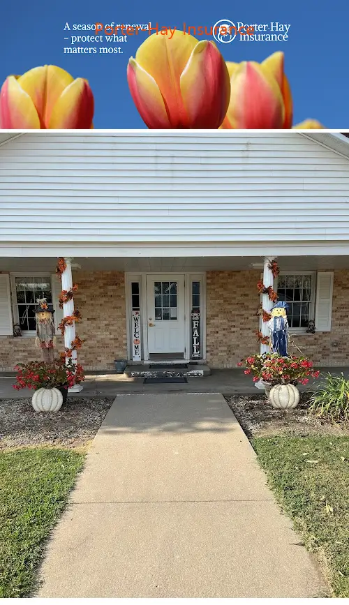 porterhay insurance il 61469