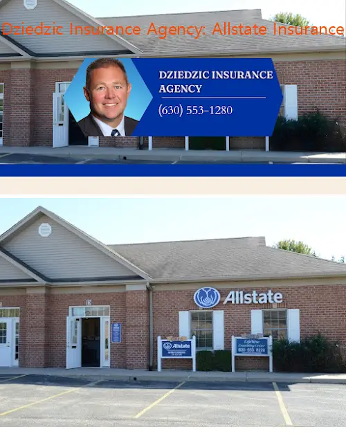 dziedzic insurance agency: allstate insurance il