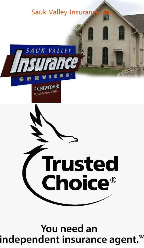 sauk valley insurance inc il