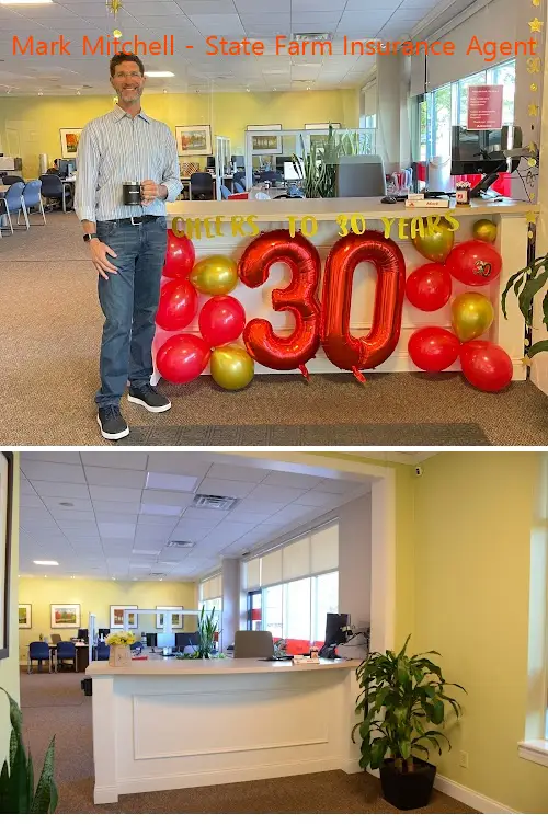 mark mitchell  state farm insurance agent il