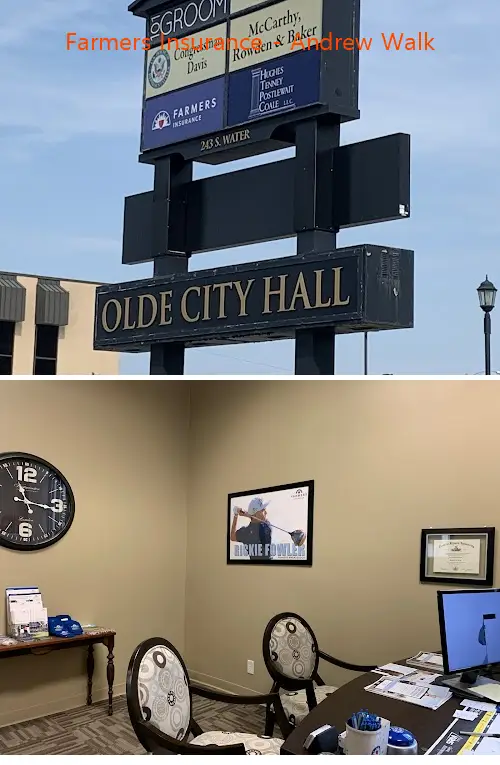 farmers insurance  andrew walk il