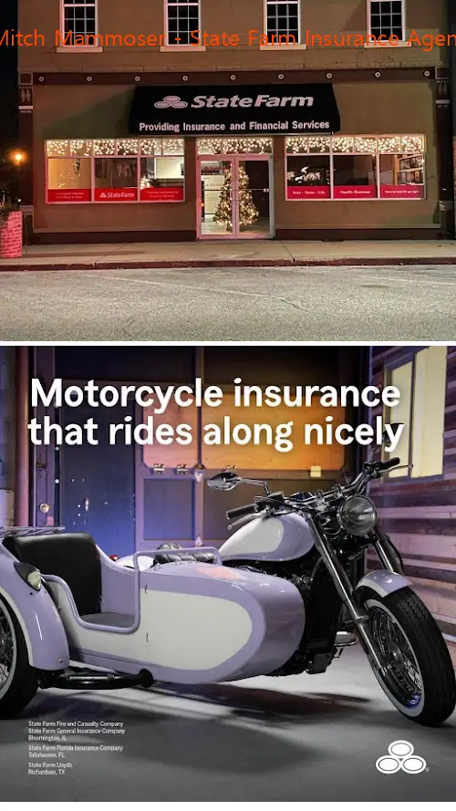 mitch mammoser  state farm insurance agent il