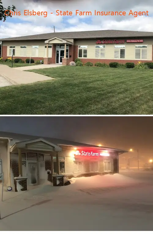 chris elsberg  state farm insurance agent il