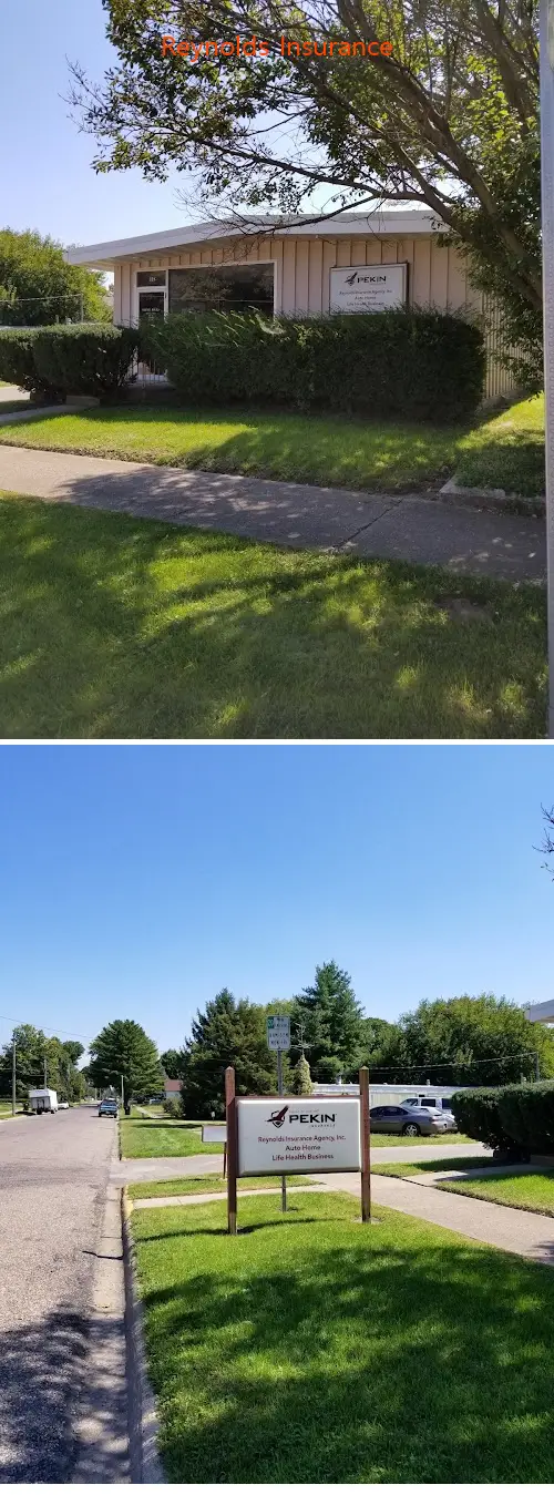 reynolds insurance il