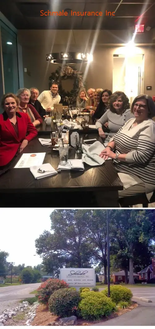 schmale insurance inc il