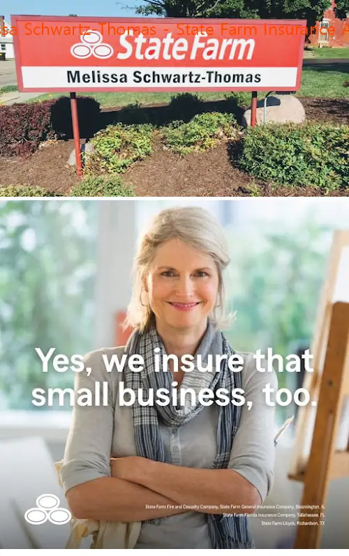 melissa schwartzthomas  state farm insurance agent il