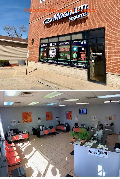 magnum insurance agency il 60432