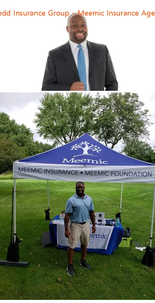 redd insurance group  meemic insurance agent il