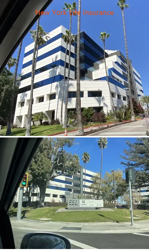 new york life insurance ca 95128