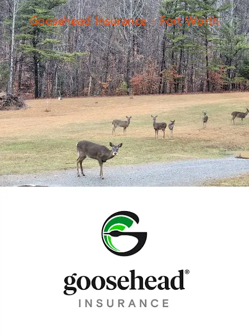 goosehead insurance  fort worth tx