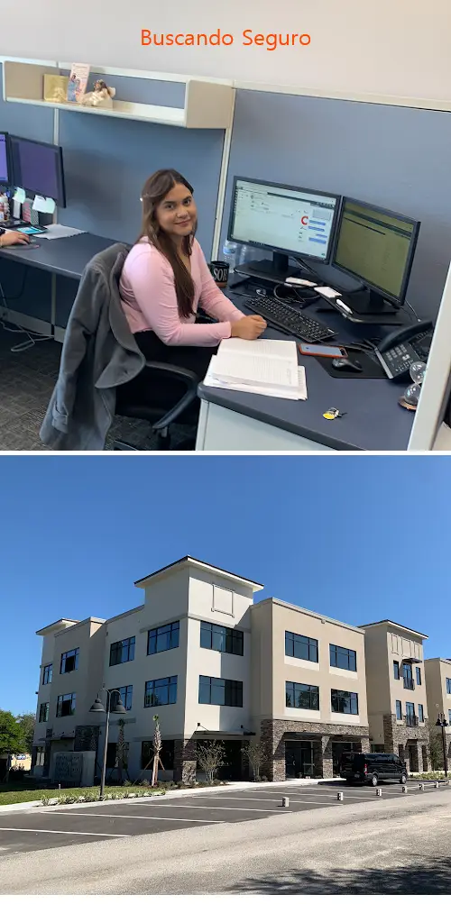 buscando seguro fl