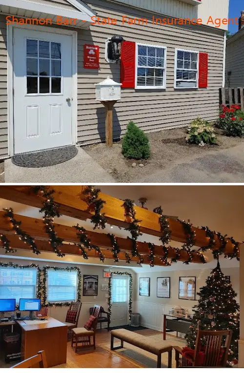 shannon barr  state farm insurance agent ny