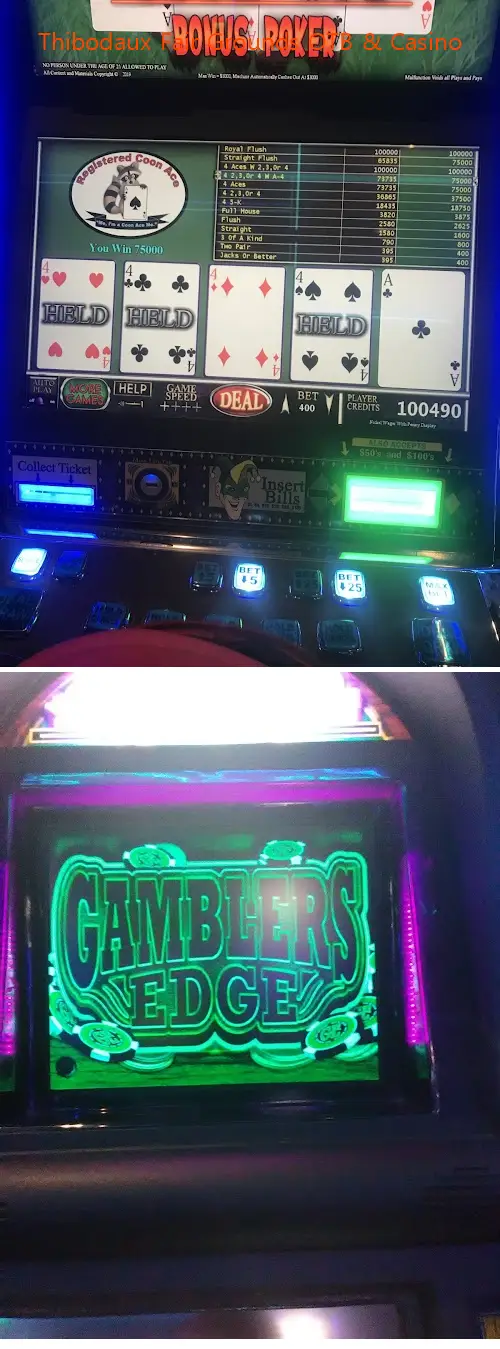 thibodaux fair grounds otb  casino la