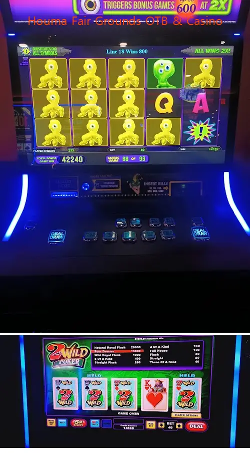 houma fair grounds otb  casino la