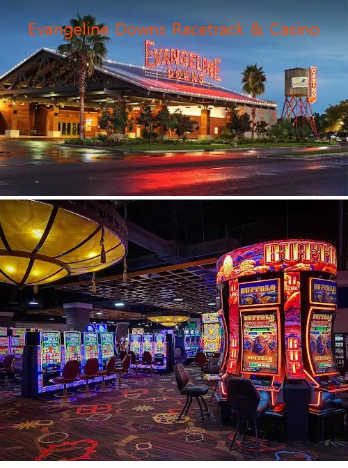 evangeline downs racetrack  casino la