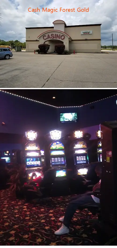 cash magic forest gold la