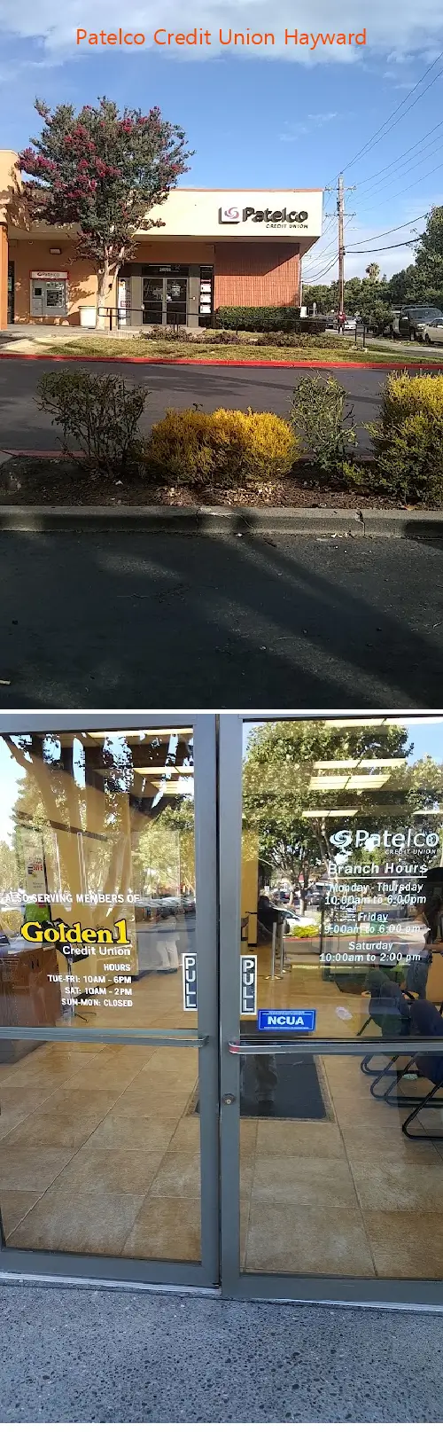 patelco credit union hayward ca