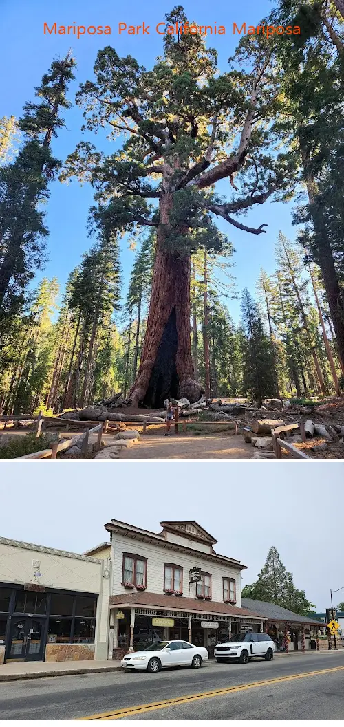mariposa park california mariposa ca