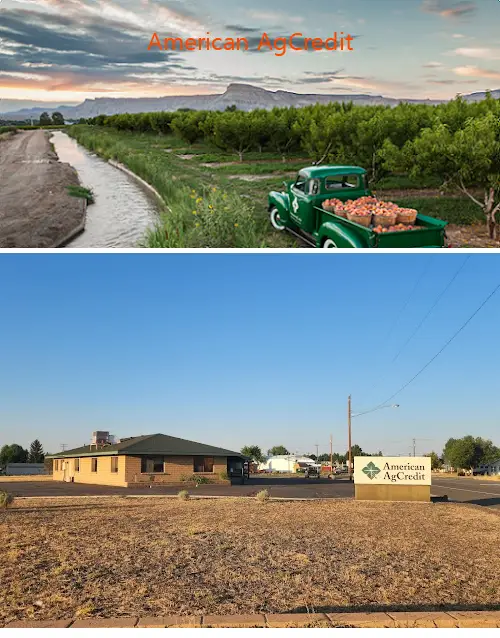 american agcredit ca 96101