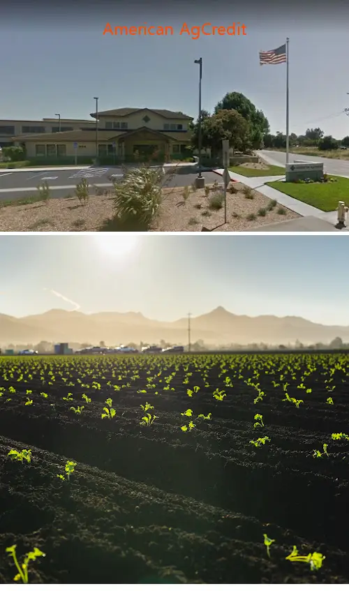 american agcredit ca 93901