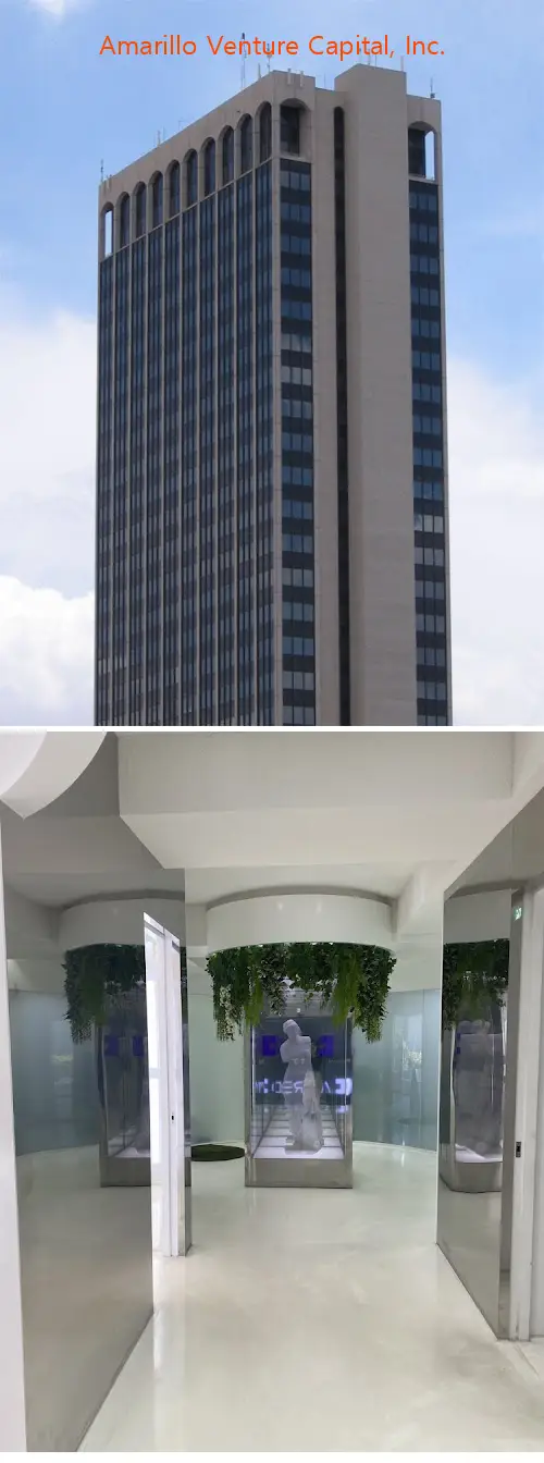 amarillo venture capital inc tx