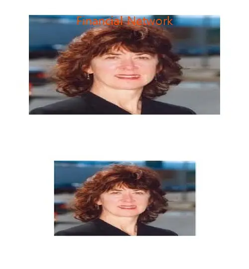 financial network wa