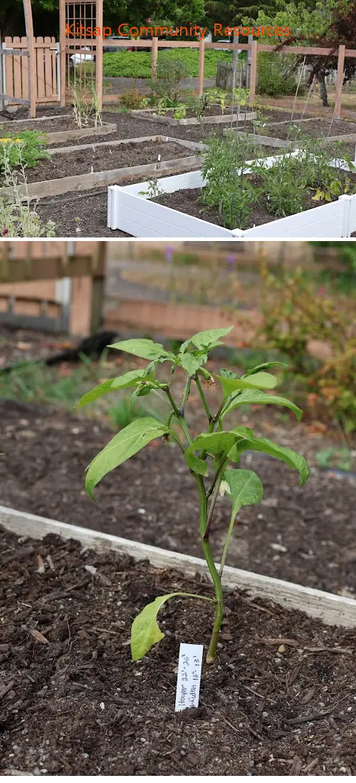 kitsap community resources wa