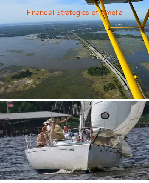 financial strategies of amelia fl