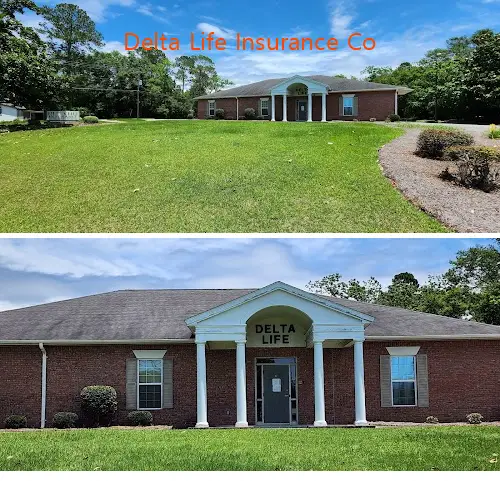 delta life insurance co ga 31533