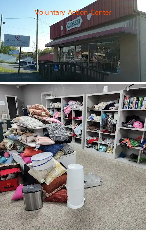 voluntary action center ga