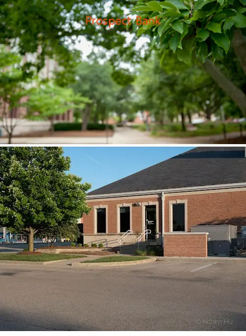 prospect bank il 61944