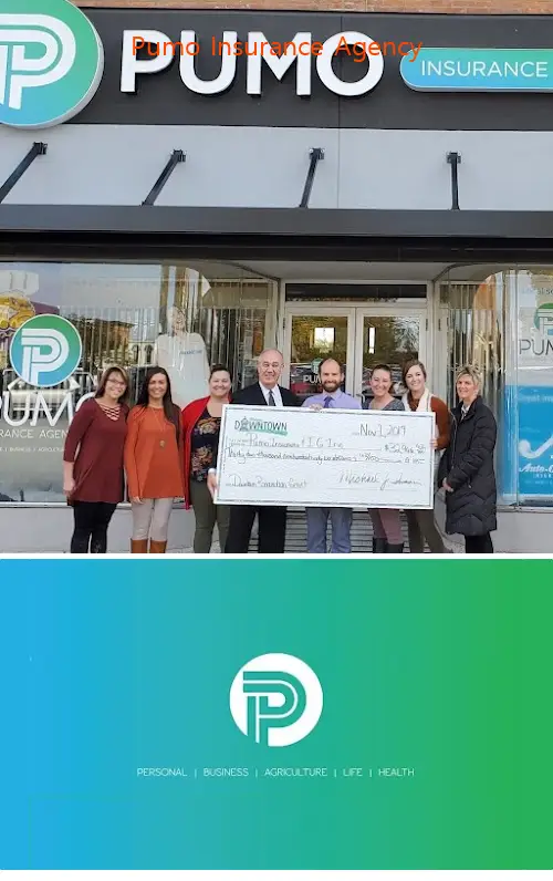 pumo insurance agency il