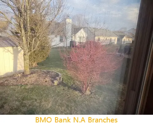 bmo bank na branches il 60098