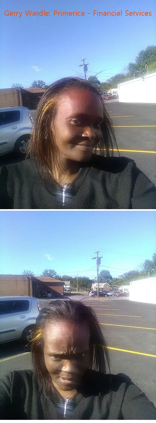 gerry wardle: primerica  financial services pa