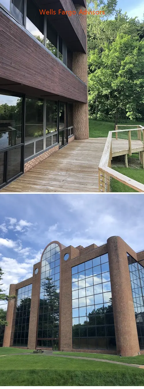 wells fargo advisors mi 49546