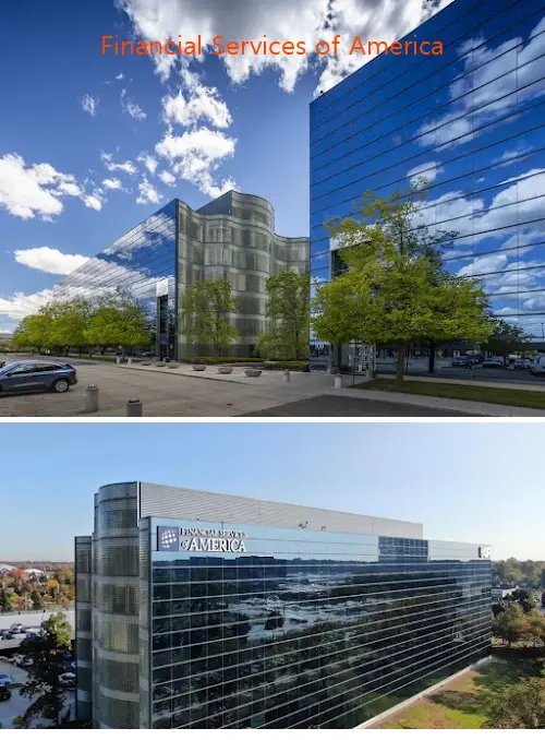 financial services of america mi