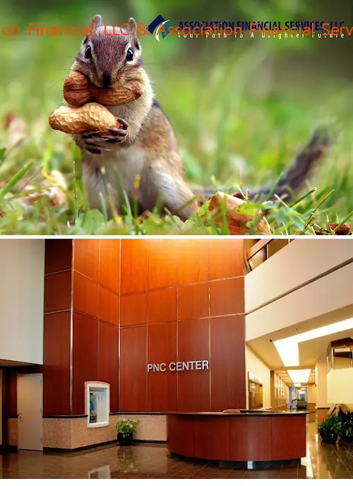 association financial llc  association financial services llc mi