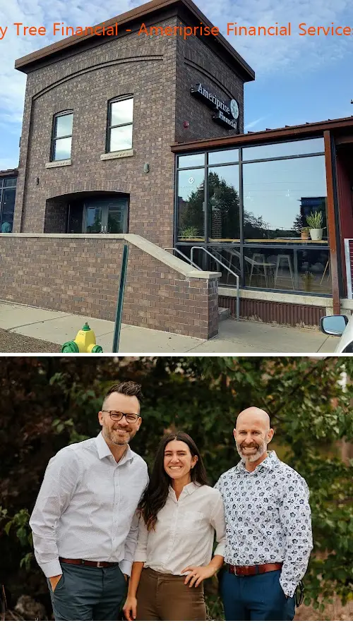 cherry tree financial  ameriprise financial services llc mi