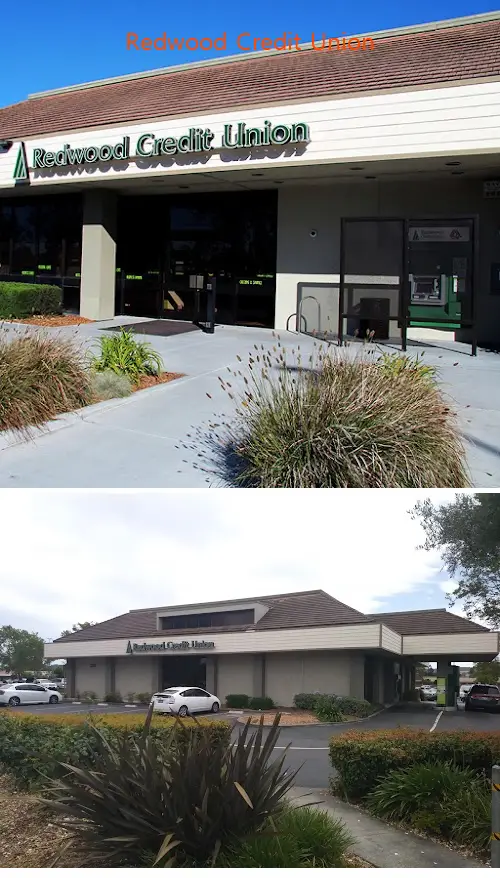 redwood credit union ca 94954