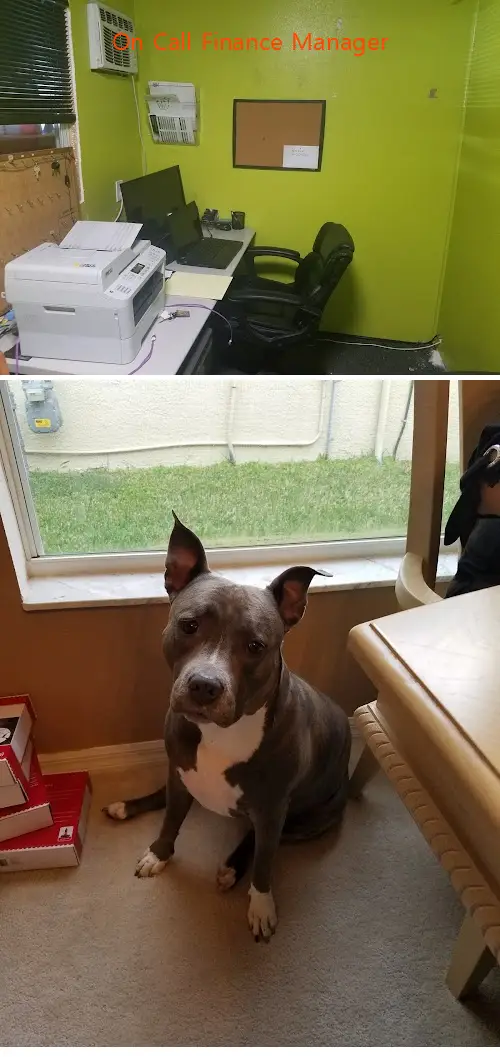 on call finance manager fl