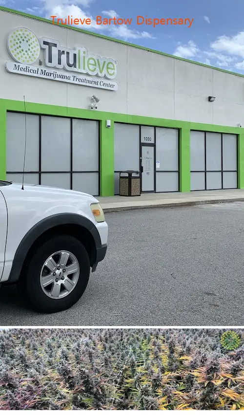 trulieve bartow dispensary fl