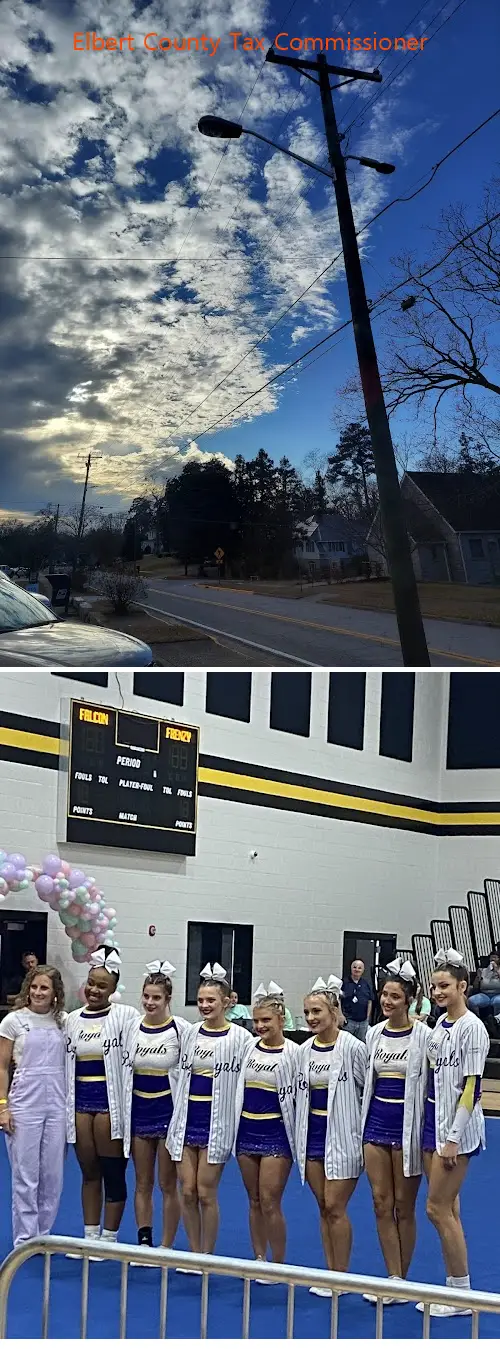 elbert county tax commissioner ga