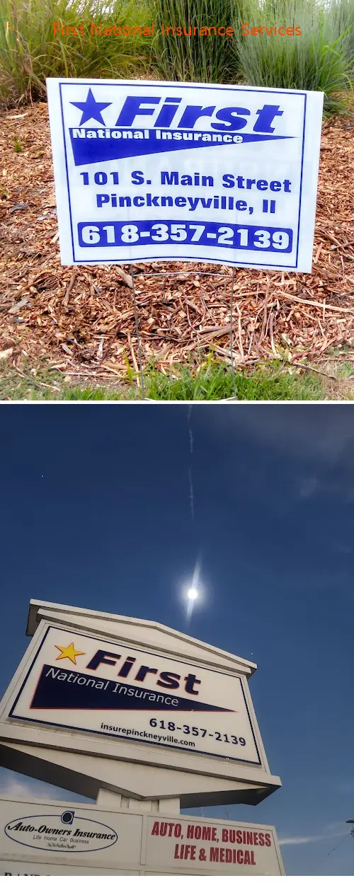 first national insurance services il