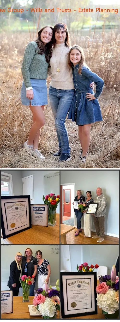 lungu law group  wills and trusts  estate planning attorney ca 90405