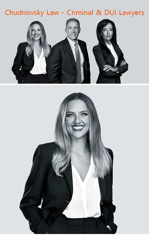chudnovsky law  criminal  dui lawyers ca 93101