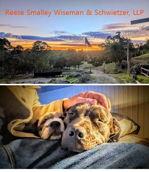 reese smalley wiseman  schwietzer llp ca