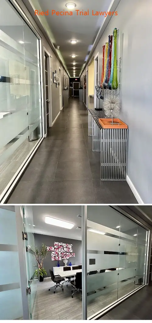 ried pecina trial lawyers tx 78526