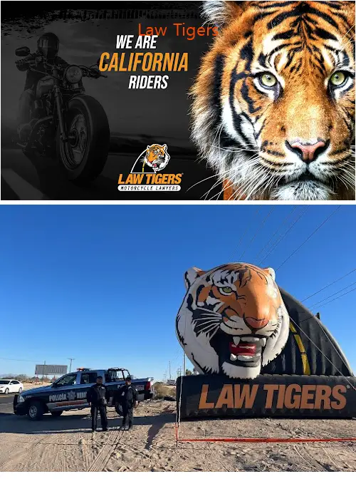 law tigers ca