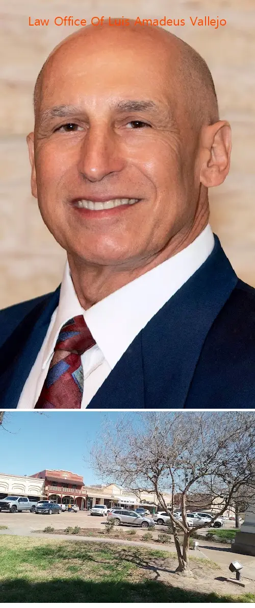 law office of luis amadeus vallejo tx 78945