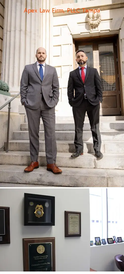 apex law firm pllc tampa fl